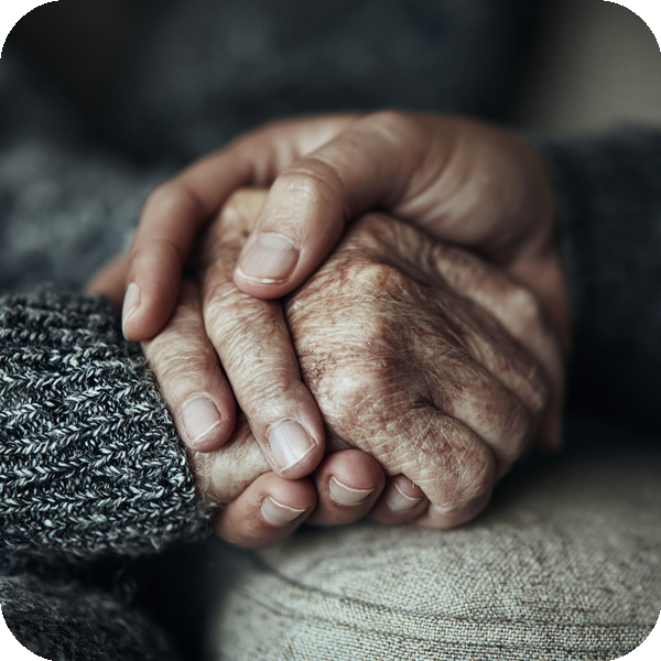 Soft landscape illustration representing comfort care and hospice support at home
