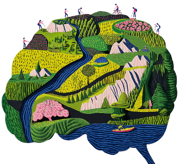 Brain-shaped landscape with rivers and forests